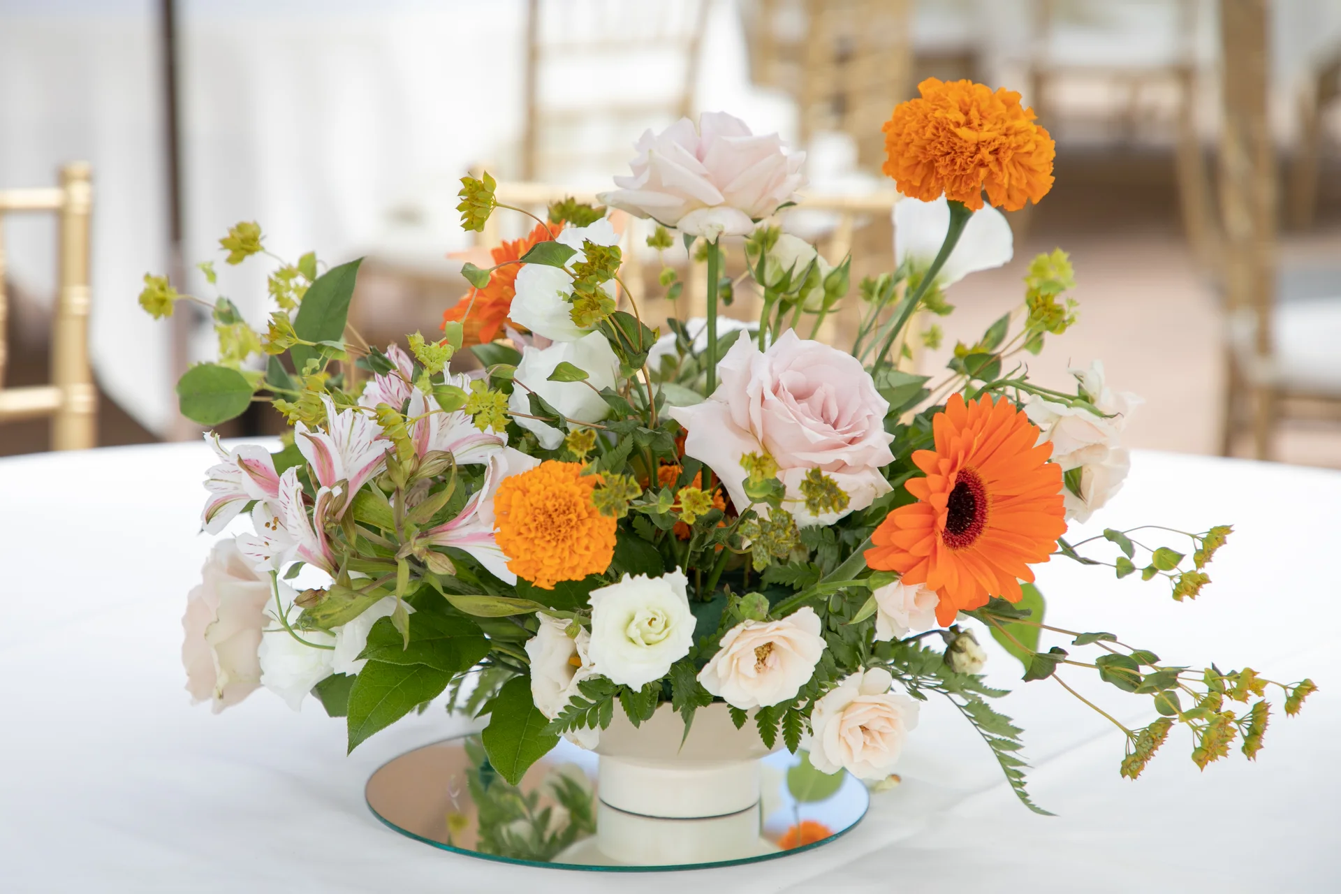 Avani & Abhi — reception