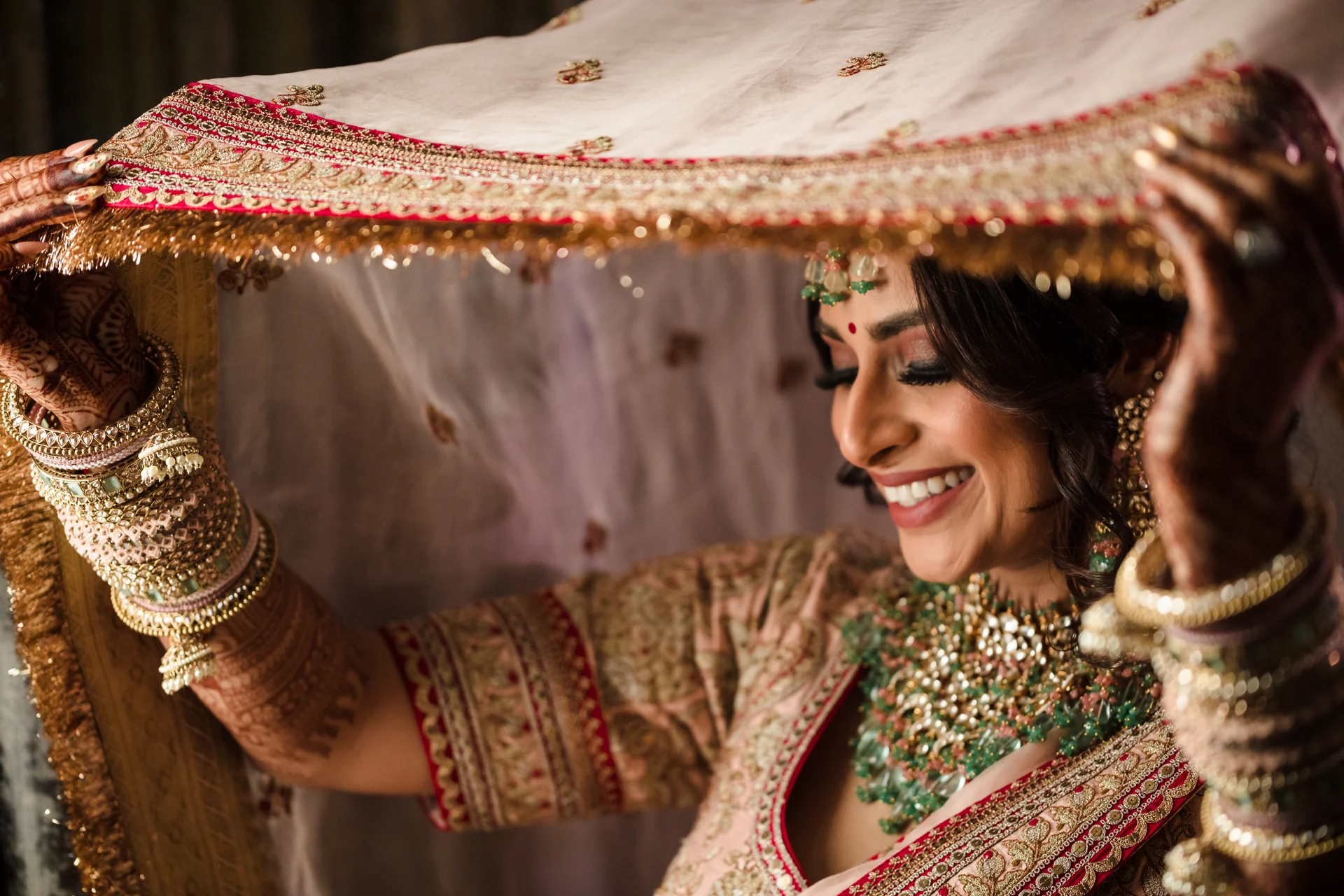 Natasha & Anish — before the ceremony